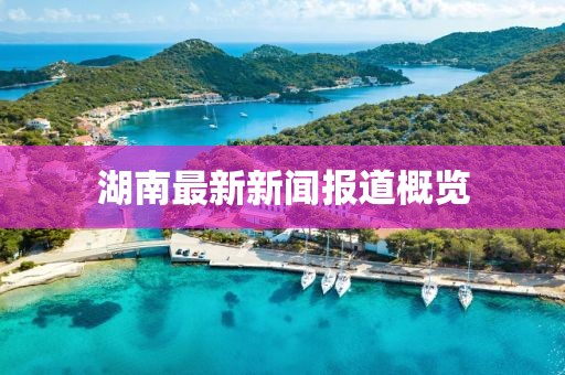 湖南最新新闻报道概览