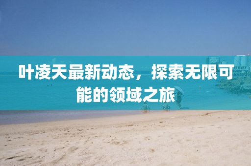 叶凌天最新动态，探索无限可能的领域之旅