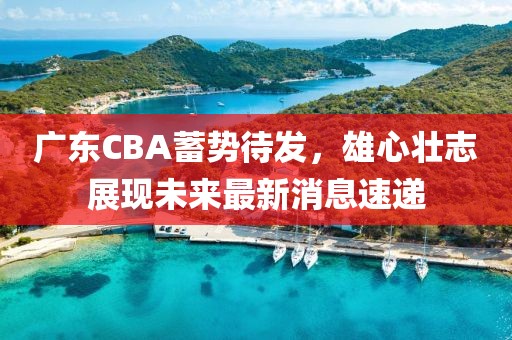 广东CBA蓄势待发，雄心壮志展现未来最新消息速递