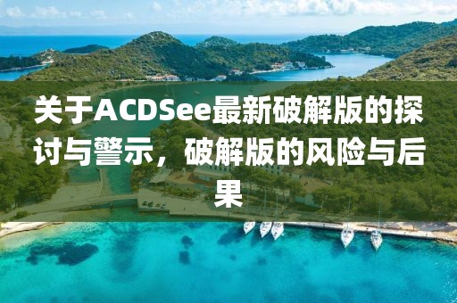 关于ACDSee最新破解版的探讨与警示，破解版的风险与后果