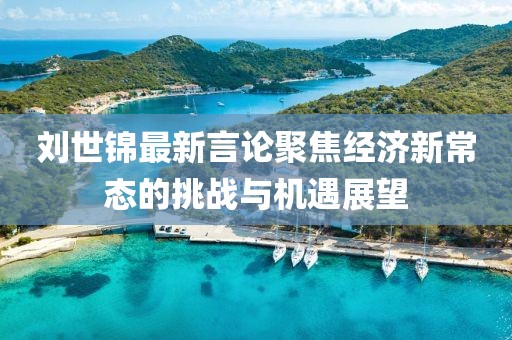 刘世锦最新言论聚焦经济新常态的挑战与机遇展望